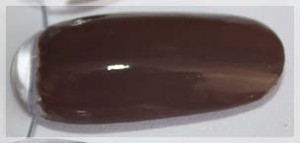 misslynnailpolishhighsociety2