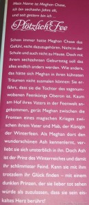 plötzlichfeesommernacht3