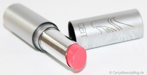 catricehiptripeinkauf4