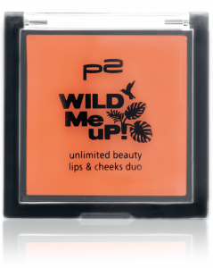 p2_unlimited_beauty_lips_cheeks duo_010