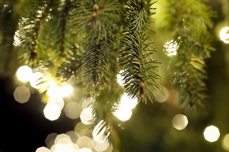 Winter Bucket List 2018