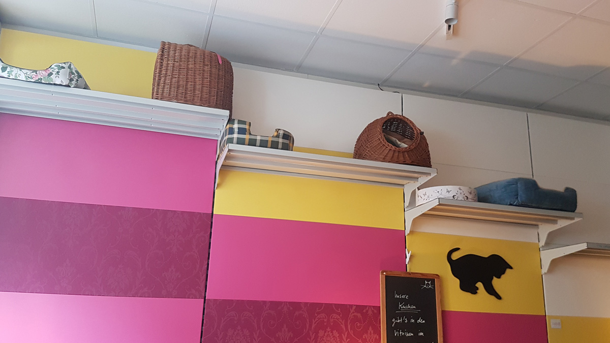 Zur Mieze - Das Katzencafé in Berlin Charlottenburg Zur Mieze - Das Katzencafé in Berlin Charlottenburg