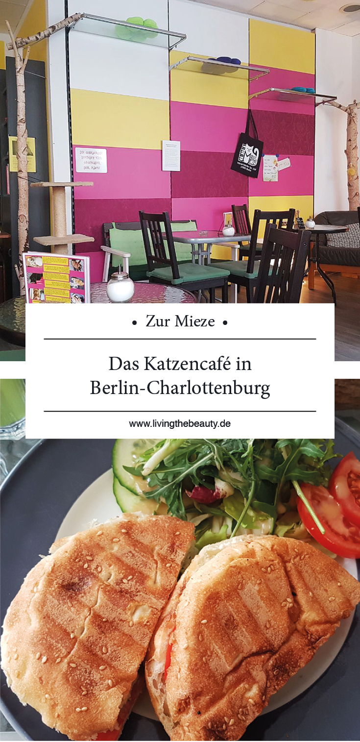 Zur Mieze - Das Katzencafé in Berlin Charlottenburg