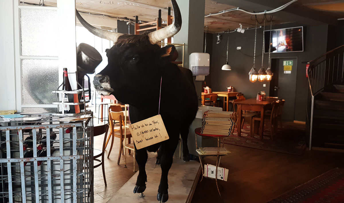 Max + Muh in Ansbach | Burger mit Respekt Max + Muh in Ansbach | Burger mit Respekt