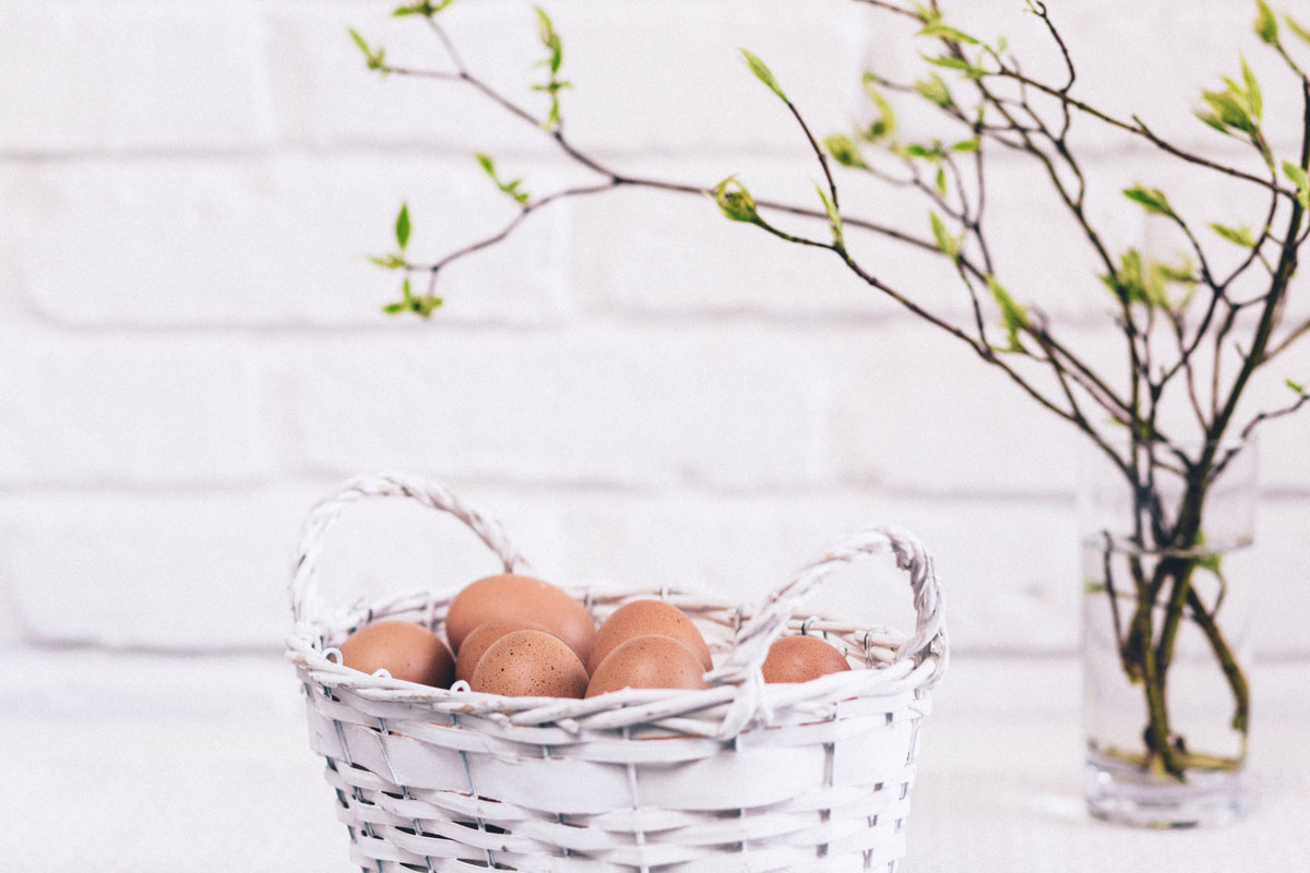 10 wissenswerte Dinge rund um Ostern & Ostereier 10 wissenswerte Dinge rund um Ostern & Ostereier