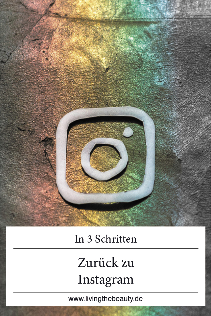 In 3 Schritten zurück zu Instagram